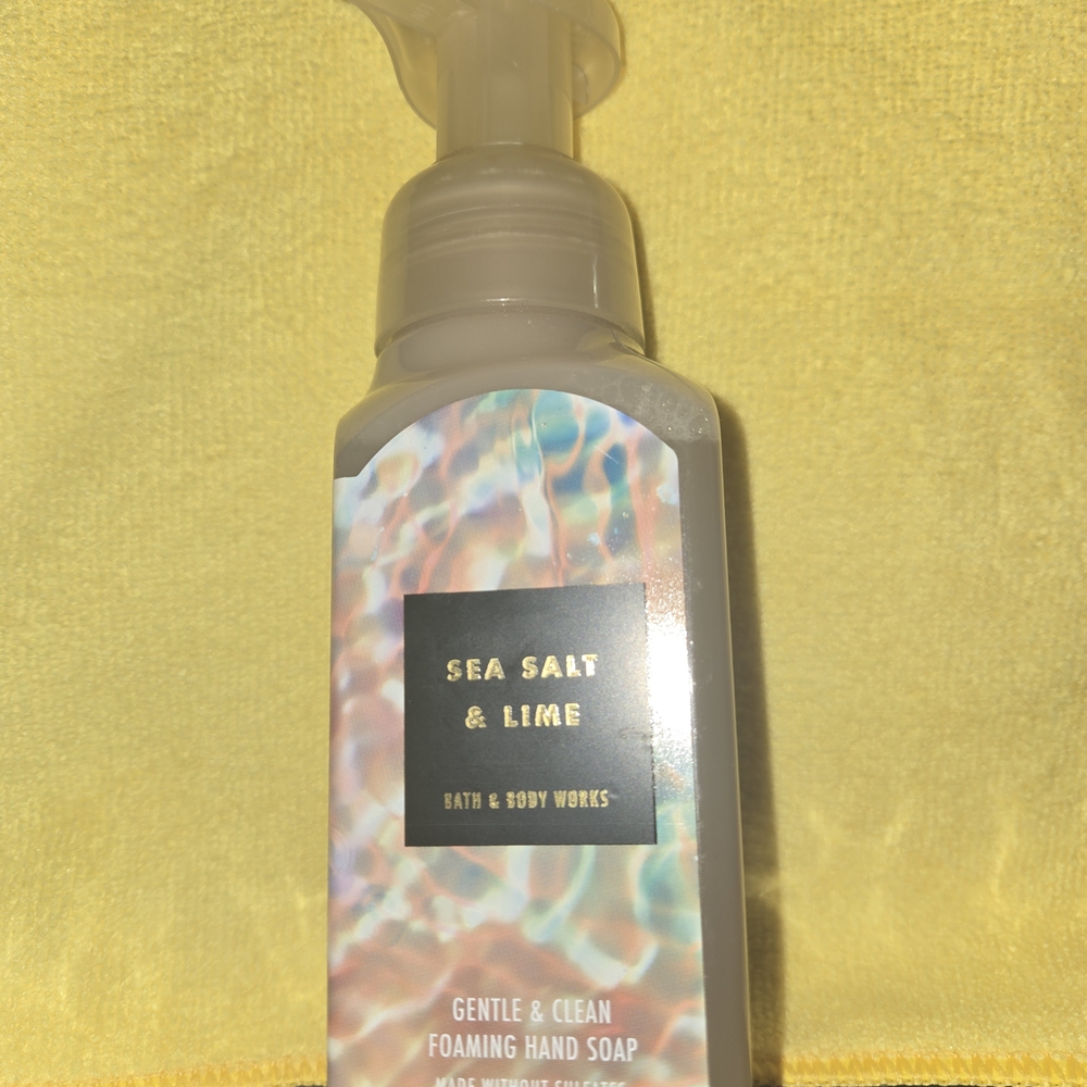 Bath & Body Works Gentle & Clean Foaming Hand Soap